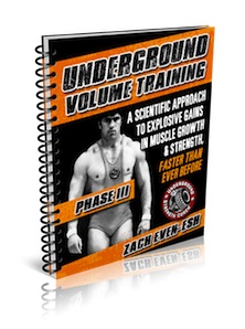 Underground Volume Training, Phase III - January 2013 Workout of The Month